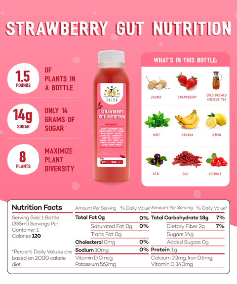 Strawberry Gut Nutrition