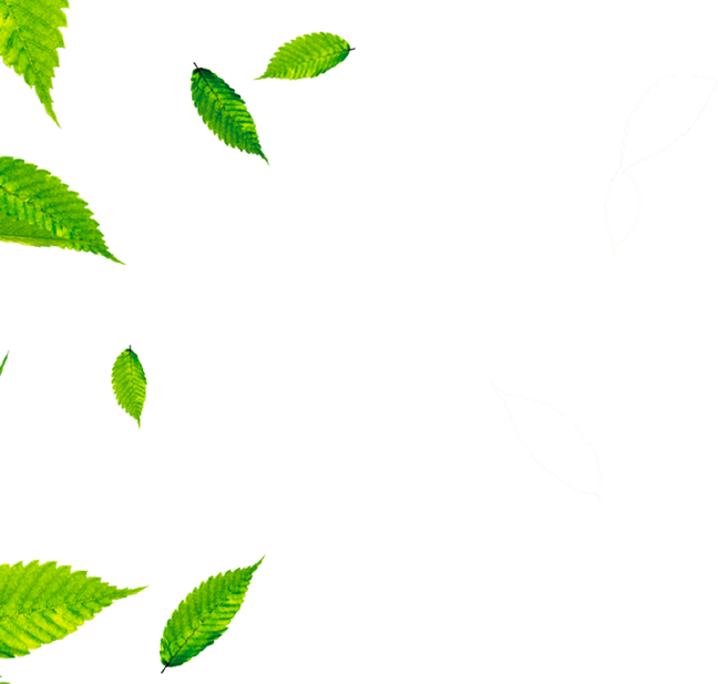 floating leaves